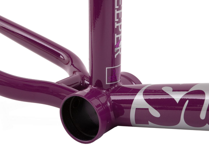 SUNDAY Street Sweeper (Jake Seeley) Frame