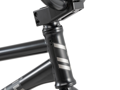 WETHEPEOPLE 20" Envy Carbonic LTD. 2025 Bike