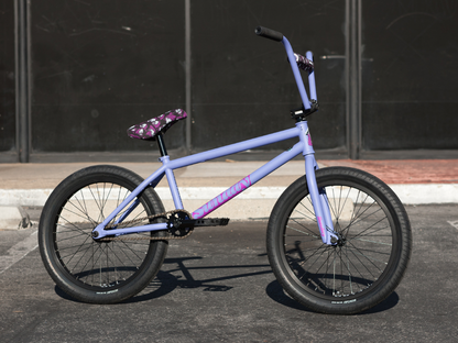 Sunday Street Sweeper (Jake Seeley) 20" Bike