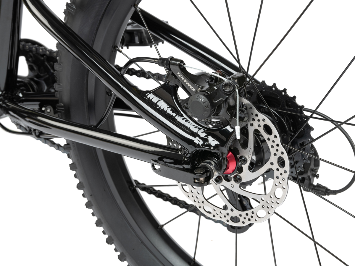 RADIO 20" Zuma Bike