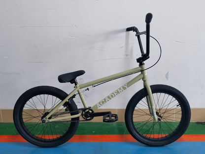 Academy BMX Entrant 20"