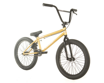 Division Blitzer 20"