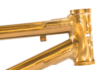 Colony Horizon Alloy Frame