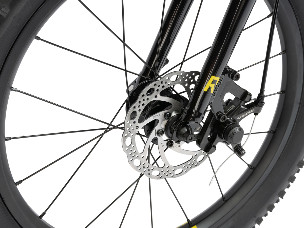 RADIO 20" Zuma Bike