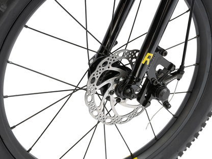 RADIO 20" Zuma Bike