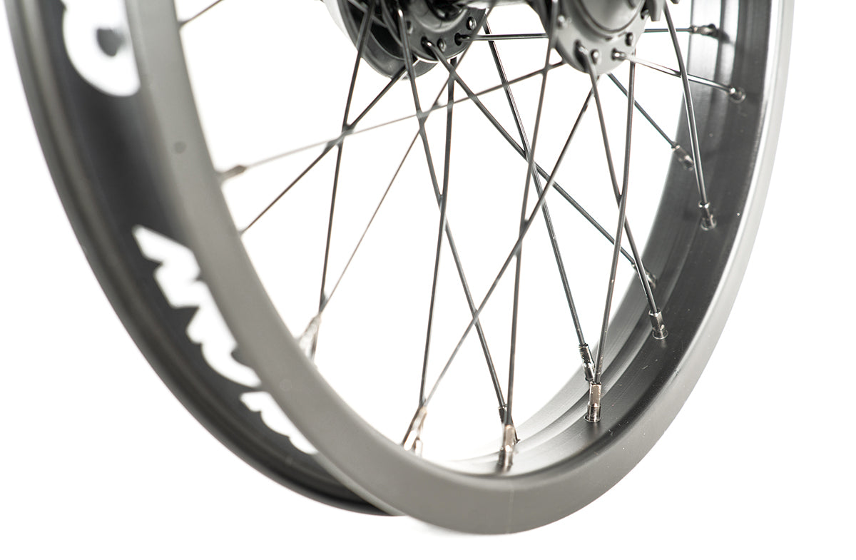 Colony Pintour Wasp Rear Wheel