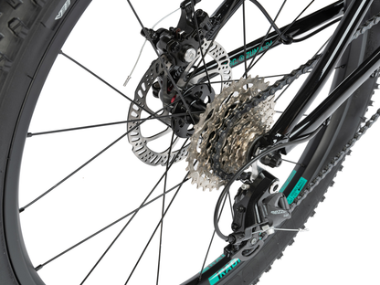 RADIO 24" Zuma Bike