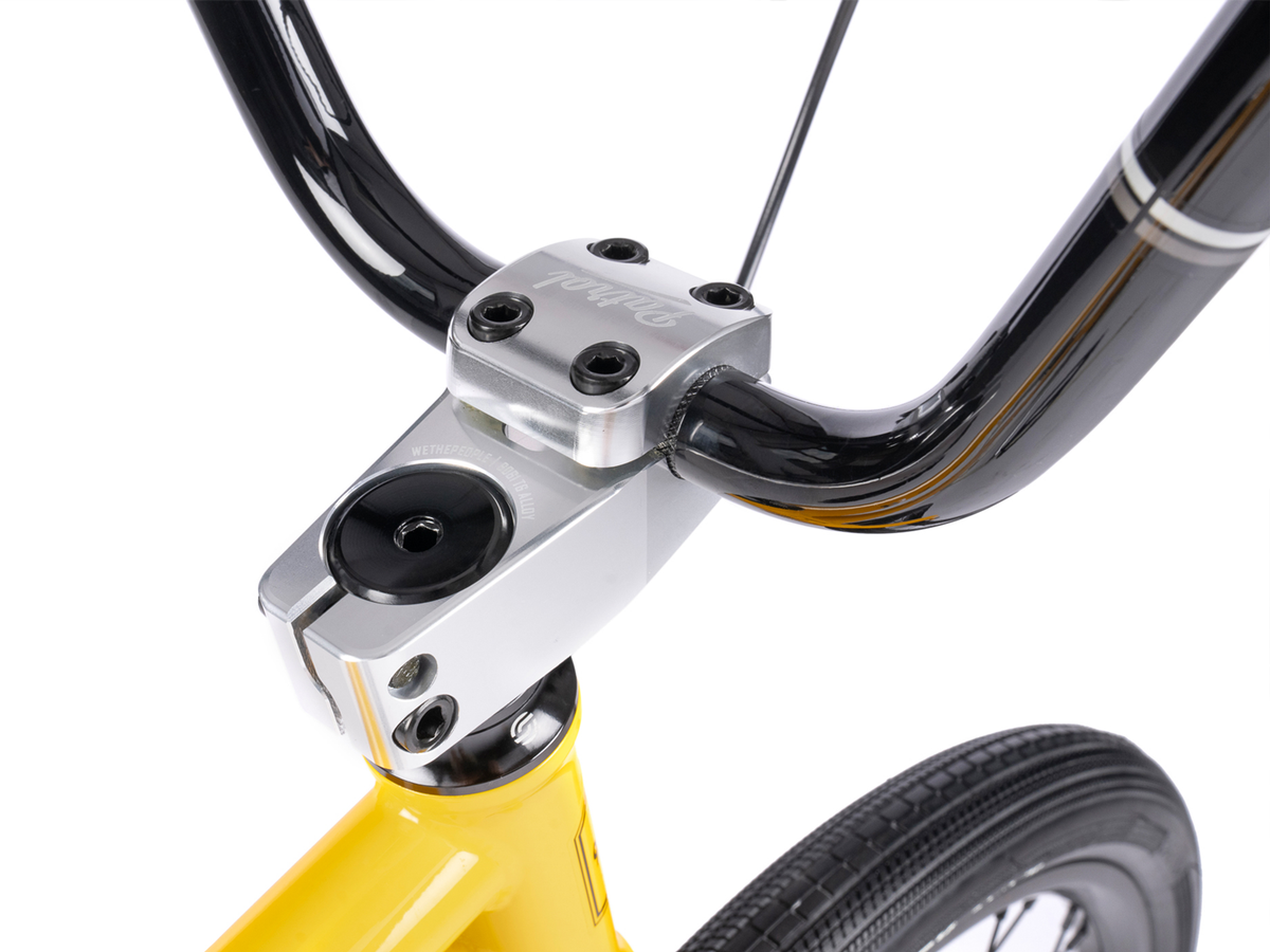 WETHEPEOPLE 24" The Atlas Bike