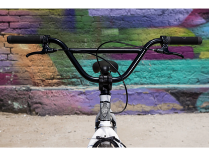 FAIRDALE Taj Bike