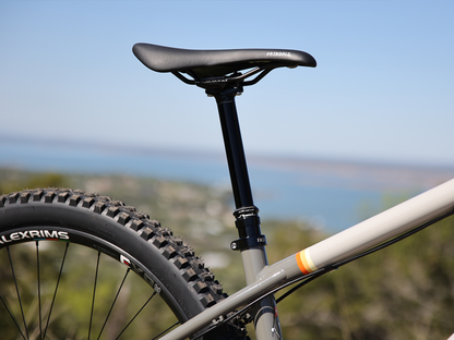 FAIRDALE 29" Elevator Bike