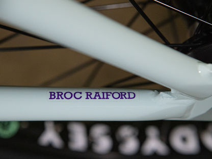 SUNDAY 20" Forecaster (Broc Raiford) Bike