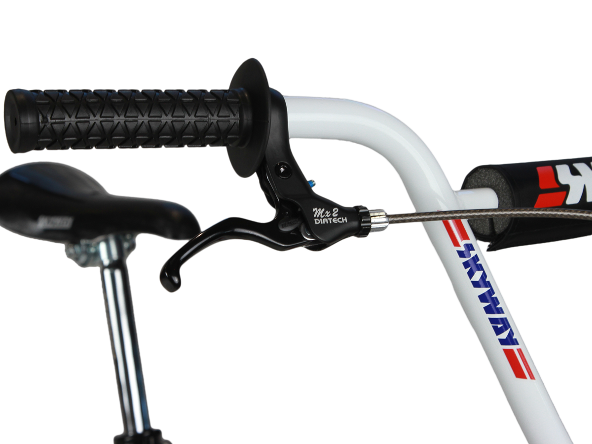 SKYWAY 20" TA 20 EX LTD Replica 2026 Bike