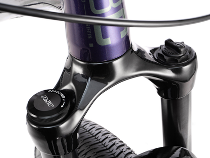 RADIO 26" Griffin Bike