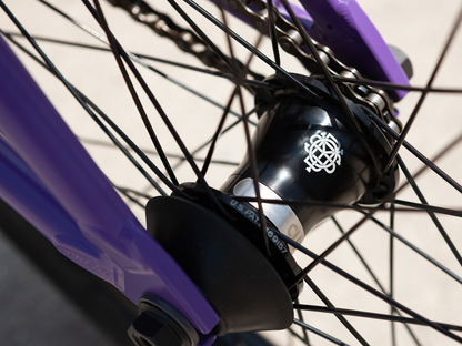 Sunday Street Sweeper (Jake Seeley) 20" Bike