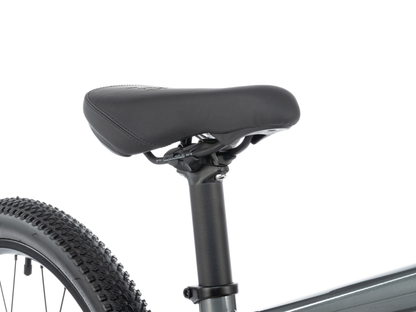RADIO 26" Zuma Suspension Bike