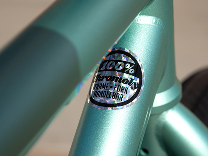SUNDAY 29" High C Bike