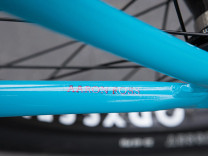 SUNDAY 20" Forecaster (Aaron Ross) Bike