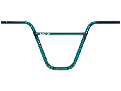 S&M 12 Step Handlebar