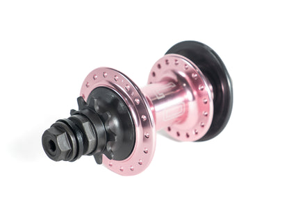 Colony Wasp Hub Set - Rose Gold
